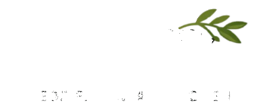 Meyra Mediterranean Kitchen